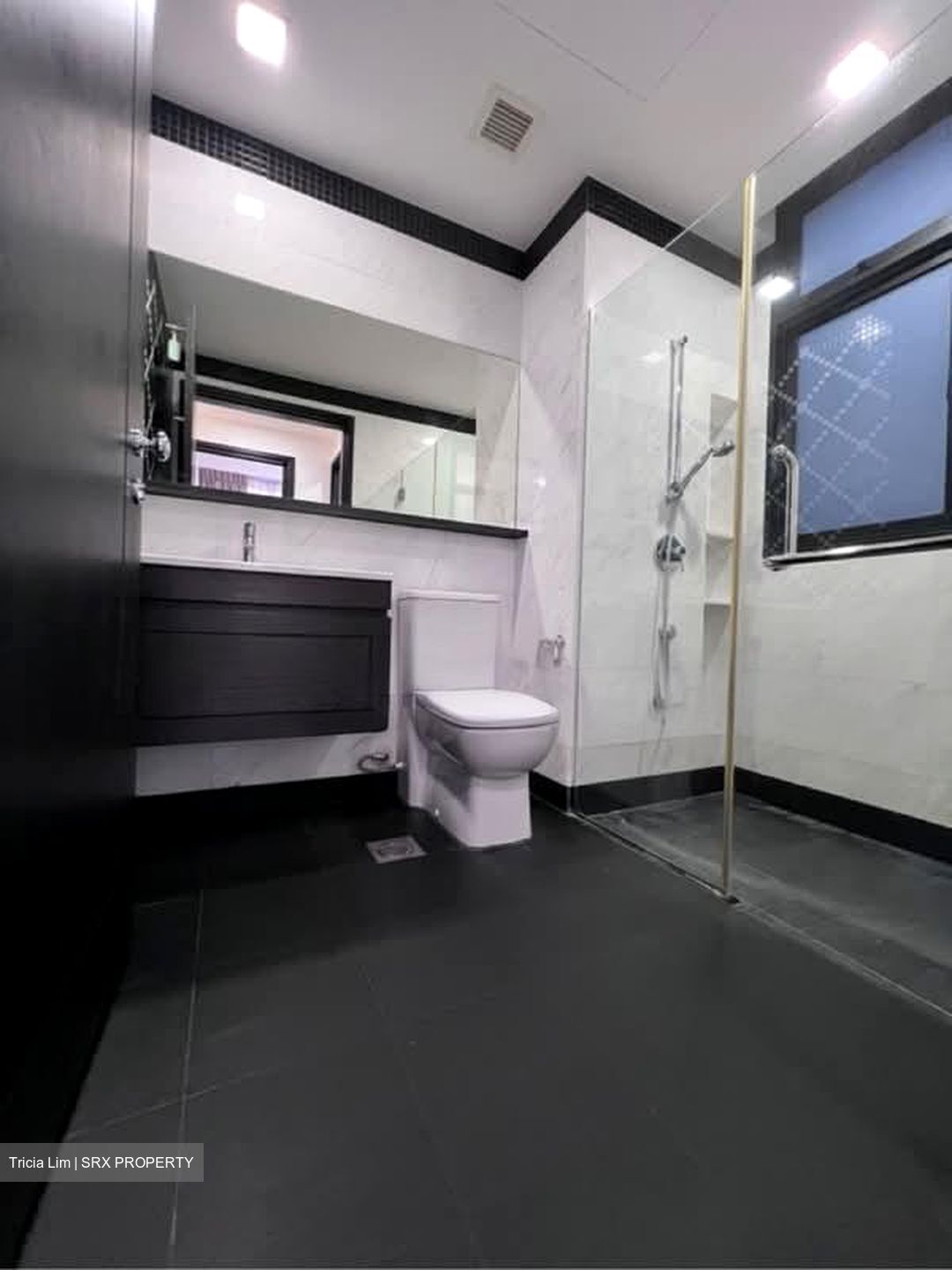 1919 (D9), Apartment #558795301